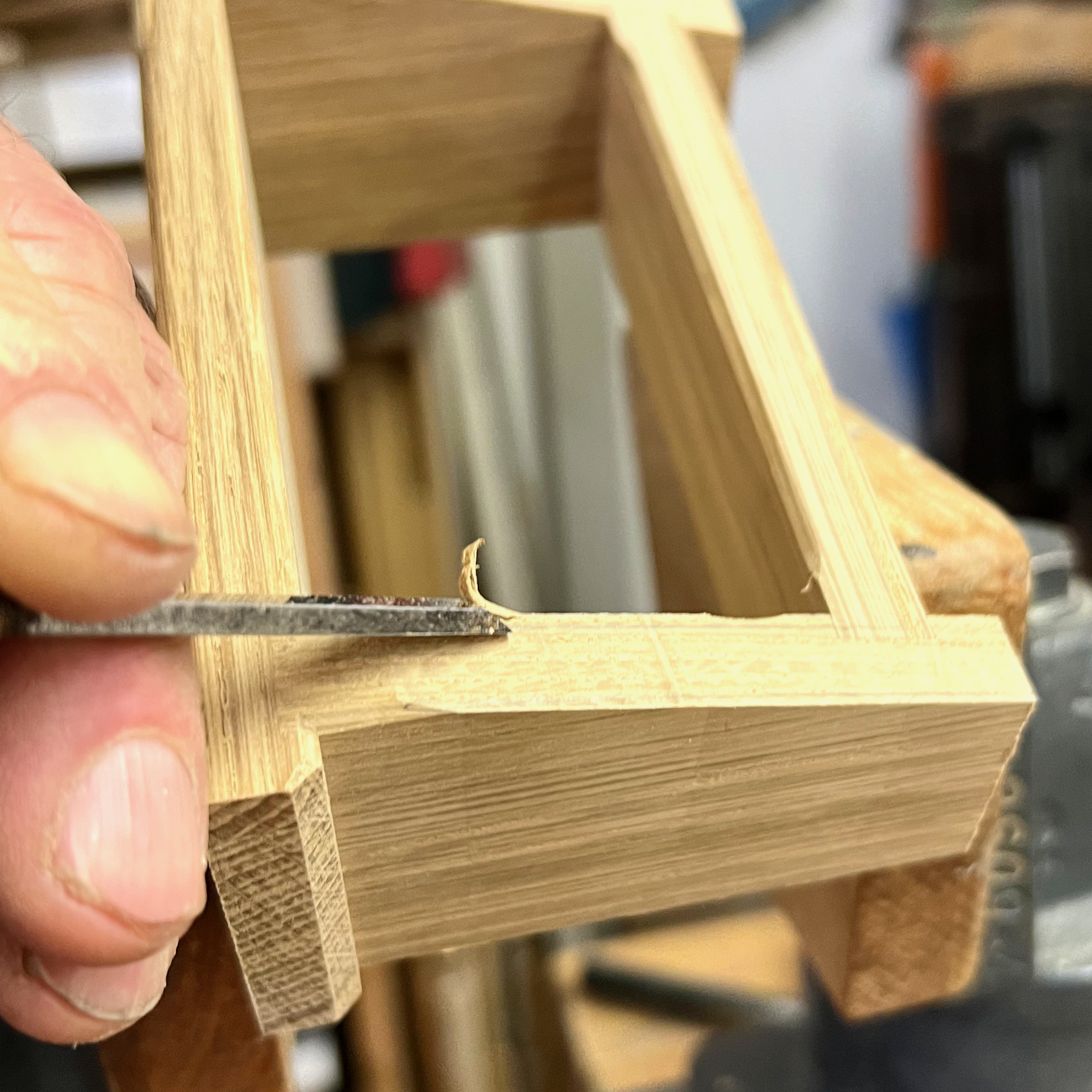 Holzkistchen "Premium" für deine Fützl // Eiche – Bild 9